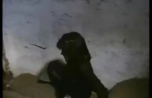 Negro duro e sesso amatoriale hd grave fan culo di Latina